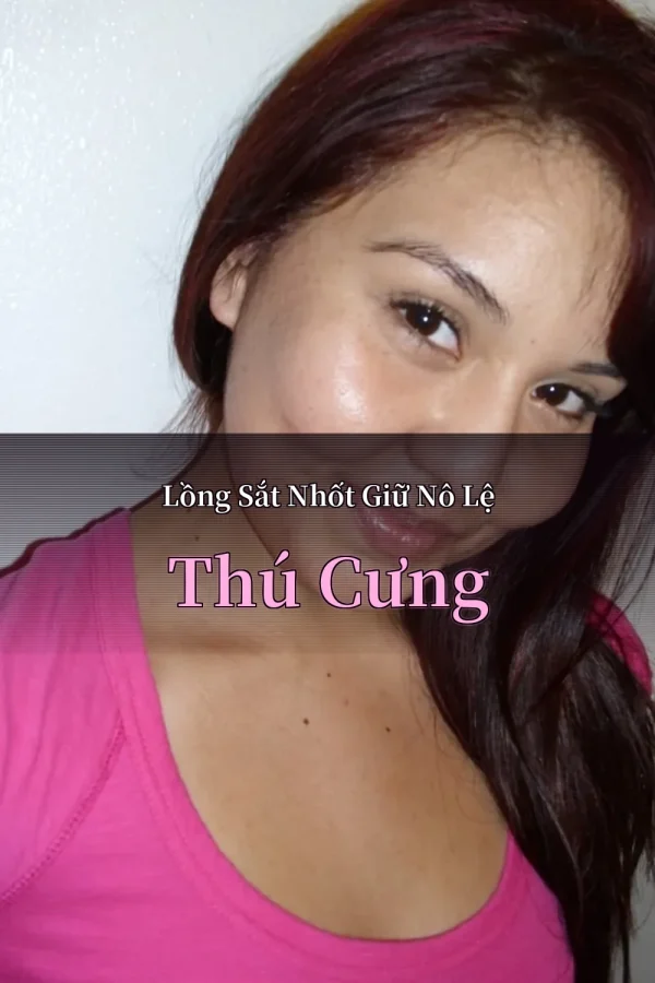 Lồng Sắt Nhốt Giữ Nô Lệ Thú Cưng